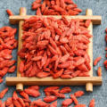 Ningxia spécial grade pairgranular organique séché goji berry